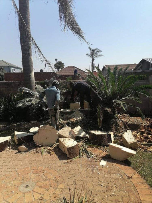 Stump Removal