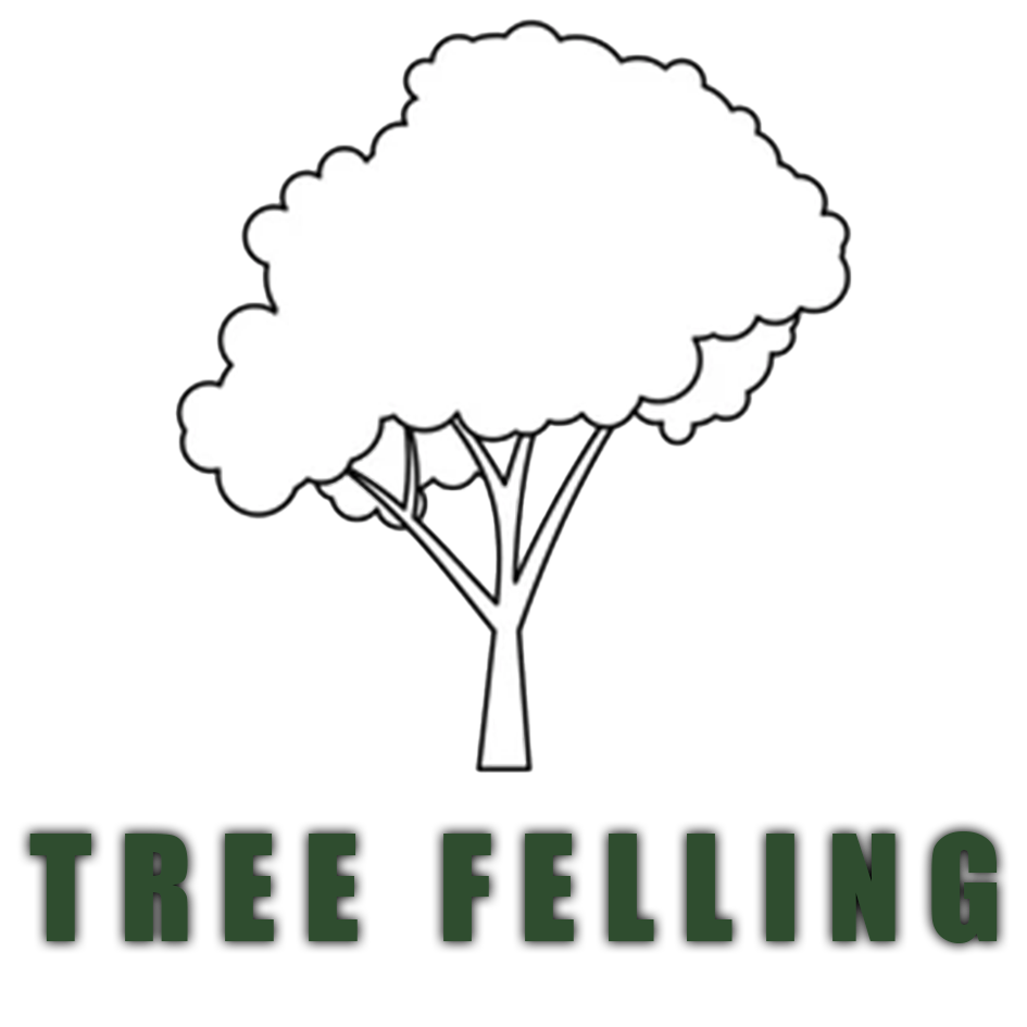 TREE FELLING