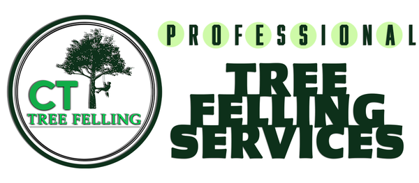 CT Tree Felling
